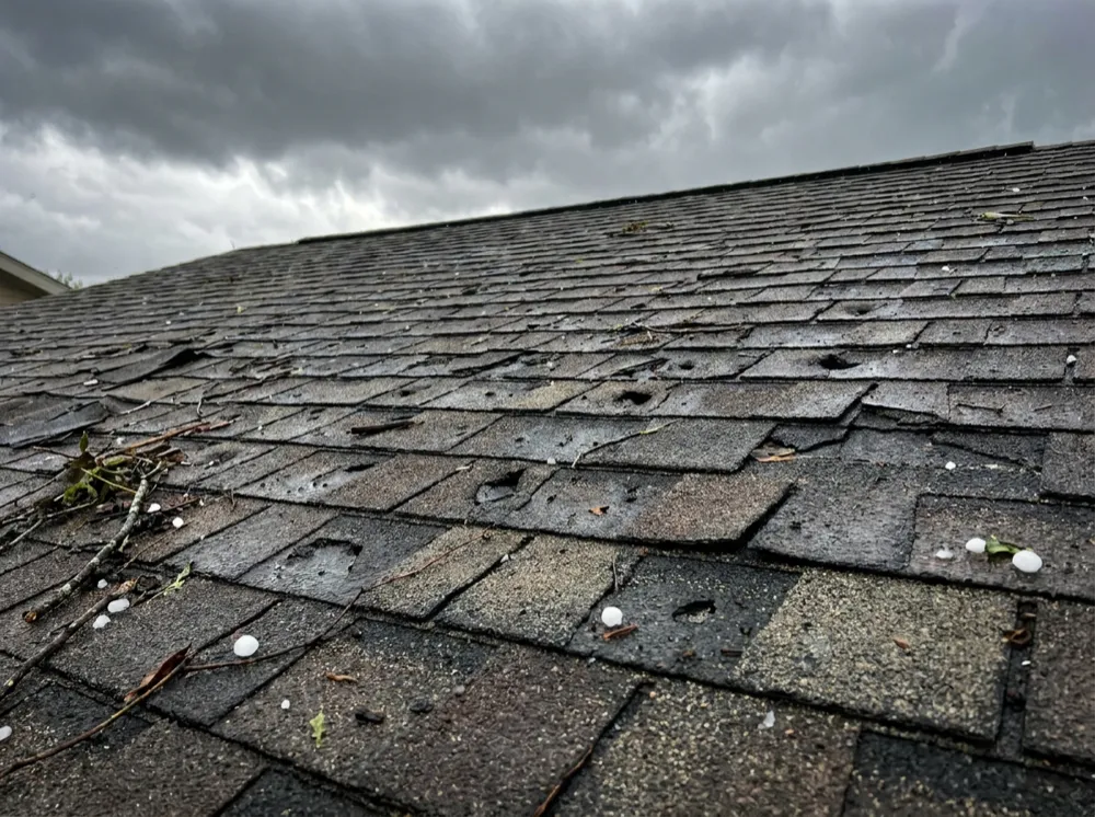 Storm Damage Assessment